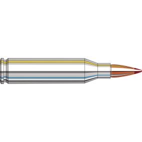 Cartouches 243 Win 80 gr CX® Outfitter x 20 Hornady