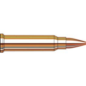 Cartouches 17 HMR® 20 gr HP XTP® x 50 Hornady